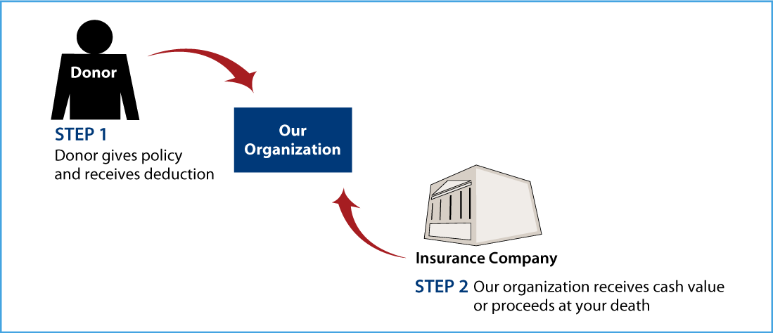 Life Insurance Policy Thumbnail
